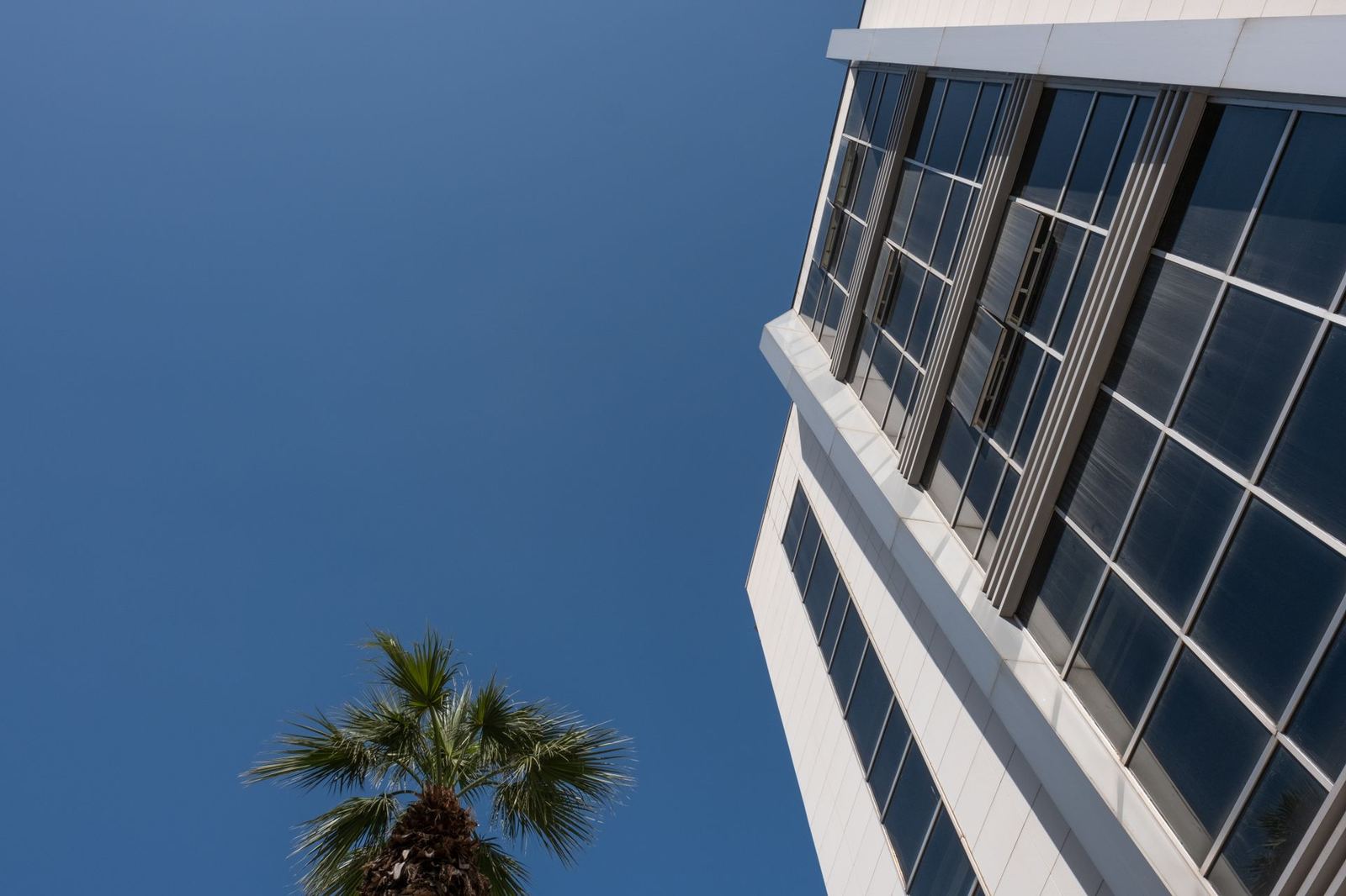 İzmir Bornova Temas Noktası